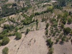 Osmaneli Balçıkhisar Köyü Satılık Tarla 4800 M2