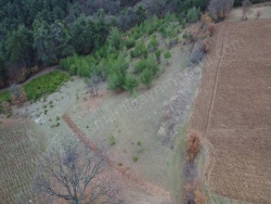 Osmaneli Akçapınar Mah-Akçapınar Köyü. Satılık Tarla 4002 M2