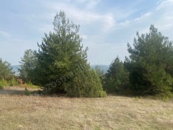 Osmaneli Düzmeşe Köyü Satılık Tarla 5193 M2