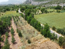 Gölpazarı Arıcaklar Köyü Satılık Tarla 2625 M2