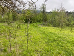 Gölpazarı Taşçıahiler Mah-Taşçıahiler Köyü. Satılık Tarla 3800 M2