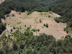 Osmaneli Borcak Köyü Satılık Tarla 11961 M2