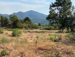 Söğüt Tuzaklı Köyü Satılık Tarla 3563 M2