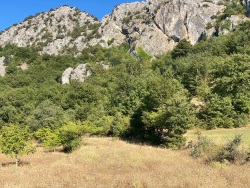 Osmaneli Belenalan Köyü Satılık Tarla 1593 M2