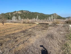 Osmaneli Medetli Köyü Satılık Tarla 3030 M2