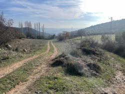 Osmaneli Akçapınar Mah-Akçapınar Köyü. Satılık Tarla 1101 M2