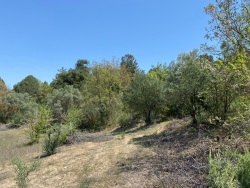 Gölpazarı Demirhanlar Köyü Satılık Tarla 7400 M2