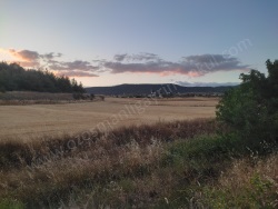 Osmaneli Büyükyenice Köyü Satılık Tarla 1076 M2