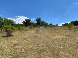 Osmaneli Balçıkhisar Köyü Satılık Tarla 2400 M2
