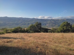 Osmaneli Akçapınar Mah-Akçapınar Köyü. Satılık Tarla 3105 M2