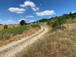 Yenipazar Esenköy Mah-Esenköy Köyü. Satılık Tarla 1120 M2