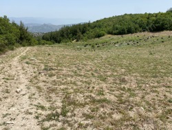 Osmaneli Balçıkhisar Köyü Satılık Tarla 3588 M2