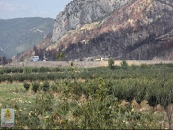 Osmaneli Selçik Köyü Satılık Tarla 2342 M2