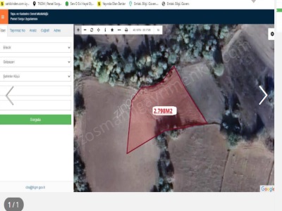 Bilecik Gölpazarı Şahinler Köyünde 2 798 M2 Düz Satılık Tarla