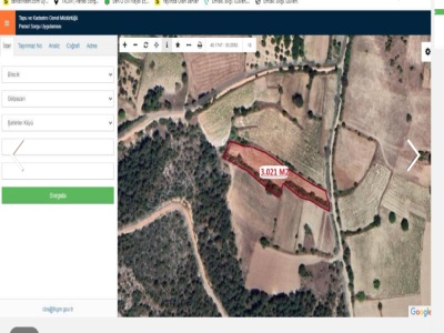 Bilecik Gölpazarı Şahinler Köyünde Yolu Olan 3 021 M2 Düz Satılık Tarla