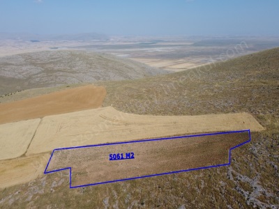 Çınarlıda 5 Dönüm Uygun Fiyatlı Köye Yakın Düz Satılık Tarla Sultandağı Çınarlı Mah-Üçkuyu Köyü