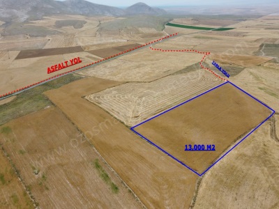 Asfalta Yakın Verimli Bölgede 13 Dönüm Yatırımlık Arazı Satılık Tarla Sultandağı Yenikarabağ Köyü