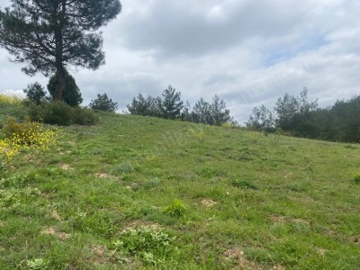 Bilecik Osmaneli Çiftlik Köyünde 4 952 M2 Satılık Arazi