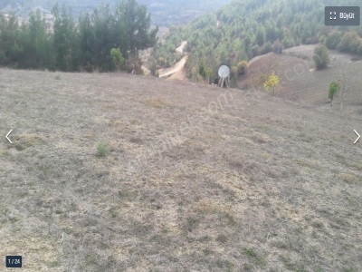 Bilecik Gölpazarı Kümbet Köyünde 2 400 M2 Arazi Satılık Tarla