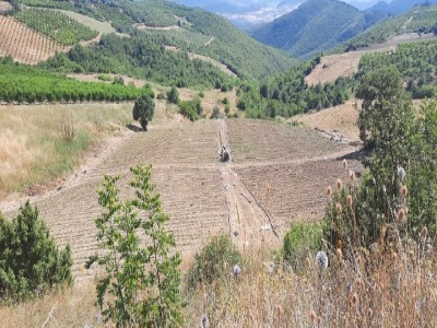 Osmaneli Çerkeşli Köyünde 7851 M2 Satılık Tarla