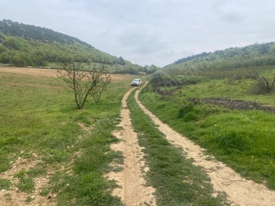 Bilecik Bereket Köyünde Toplam 7900 M2 Satılık Tarla Osmaneli