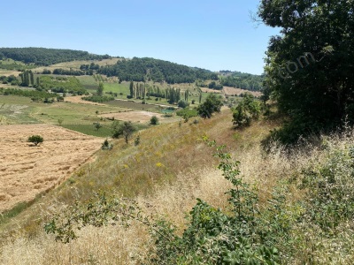 7 086 M2 Göletle Arası 150 Mt Köye Yakın Satılık Tarla Osmaneli Boyunkaya Köyü