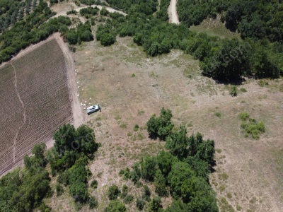 17 Dönüm Oğulpaşada Acil Satılık Tarla Arazi Osmaneli Oğulpaşa Mah-Oğulpaşa Köyü