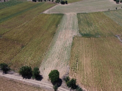 Medetlide 5 167 M2 Resmi Yolu Olan Bağ Evi Yapımına Uygun Satılık Tarla Osmaneli Medetli Köyü