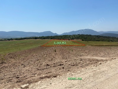 Üyük Köy Merkezine 1 Km Mesafede 5 360 M2 Yatırımlık Satılık Tarla Osmaneli Medetli Köyü
