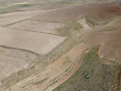 Sultandağı Pınarlıda 14 750 M2 Tarım Ve Yatırıma Uygun Satılık Tarla Pınarlı Mah-Üçkuyu Köyü