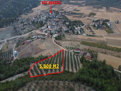 Bölgenin En Güzel Arazisi 3 Dönüm Köy İçi İmarlı Ve Zeytnlk Satılık Arsa Osmaneli Düzmeşe Köyü