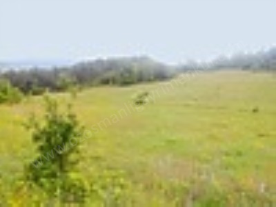 Günüören Köyünde 7000 M2 Satılık Tarla Arazi Osmaneli
