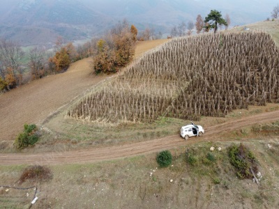 Resmi Yolu Olan 5 Dönüm Köye Yakın Yatırımlık Arazi Satılık Tarla Osmaneli Oğulpaşa Mah-Oğulpaşa Köyü