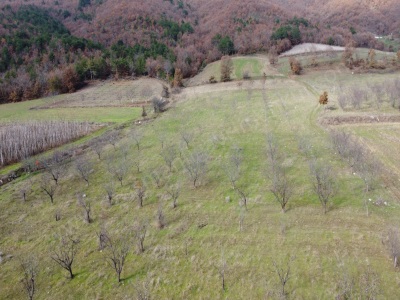 7 245 M2 Oğulpaşa Ovasında Satılık Tarla Arazi Osmaneli Mah-Oğulpaşa Köyü Osmanlı Gayrimenkul
