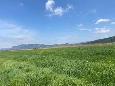 Kurşunlu Köyünde 3 112 M2 Satılık Tarla Arazi Gölpazarı Osmanlı Gayrimenkul