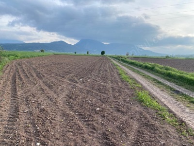 Türkmen Köyünde 4000M2 Satılık Tarla Arazi Gölpazarı Osmanlı Gayrimenkul