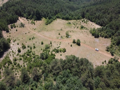Borcak Köyünde 11 961 M2 Kaçırılmayacak Arazi Satılık Tarla Osmaneli