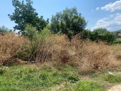 Ericek Köyünde 841 M2 İmarlı Arsa Satılık Tarla Osmaneli