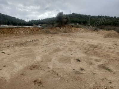 7770 M2 Satılık Arsa Fabrıka Sı Osmaneli Camikebir Mah