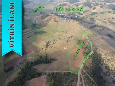 Oğulpaşa Köyünde 14 477 M2 Çiflik Arazisi Satılık Tarla Osmaneli Mah-Oğulpaşa Köyü