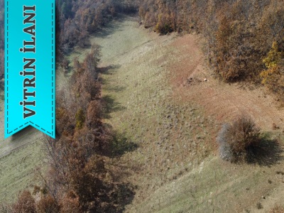 5 872 M2 Uygun Fiyatlı Doğa İçi Satılık Tarla Osmaneli Oğulpaşa Mah-Oğulpaşa Köyü