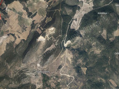 Osmaneli Günüören 2 250 M2 Satılık Tarla Köyü