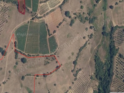 Oğulpaşa Köyünde 3 136 M2 Satılık Tarla Osmaneli Mah-Oğulpaşa Köyü