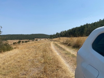 3 5 Dönüm Resmi Yolu Olan Günüören Köyünde Satılık Tarla Arazi Osmaneli Adliye Köyü