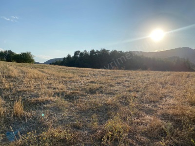 Selbükü Köyünde Kanal Yolu Olan Manzaralı 2 420 M2 Satılık Tarla Merkez