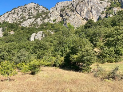 Köye 750 Metre Mesafede Resmi Yolu Olan 1 593 M2 Satılık Tarla Osmaneli Belenalan Köyü