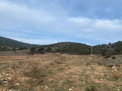 Medetli Köyünde Yolu Olan 1066 M2 Satılık Tarla Osmaneli