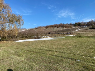 415 M2 Köyün Yanında Düz Yatırımlık Arazi Satılık Tarla Osmaneli Oğulpaşa Mah-Oğulpaşa Köyü