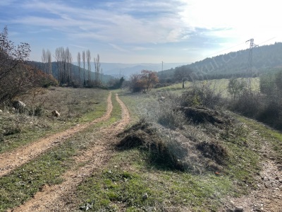 1 101 M2 Yolu Olan Yatırımlık Satılık Tarla Osmaneli Akçapınar Mah-Akçapınar Köyü