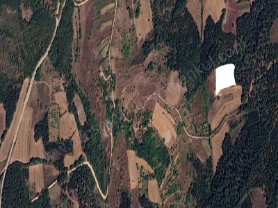 Köye 400 Metre Mesafede 6 563 M2 Satılık Tarla Gölpazarı Taşçıahiler Mah-Taşçıahiler Köyü